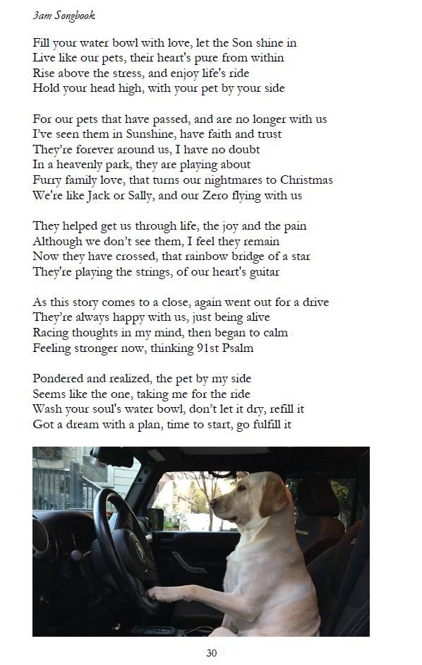 BrianJoseph777's tweet photo. #PetByYourSide from #3amSongbook #ShareTheLove #Bible #Poetry #TherapyAnimals #Pets #Bible #TimBurton #NightmareBeforeChristmas #Love @Jeep @barkbox @JourneyOfficial #Psalm91 https://t.co/KTrvKRZCRC