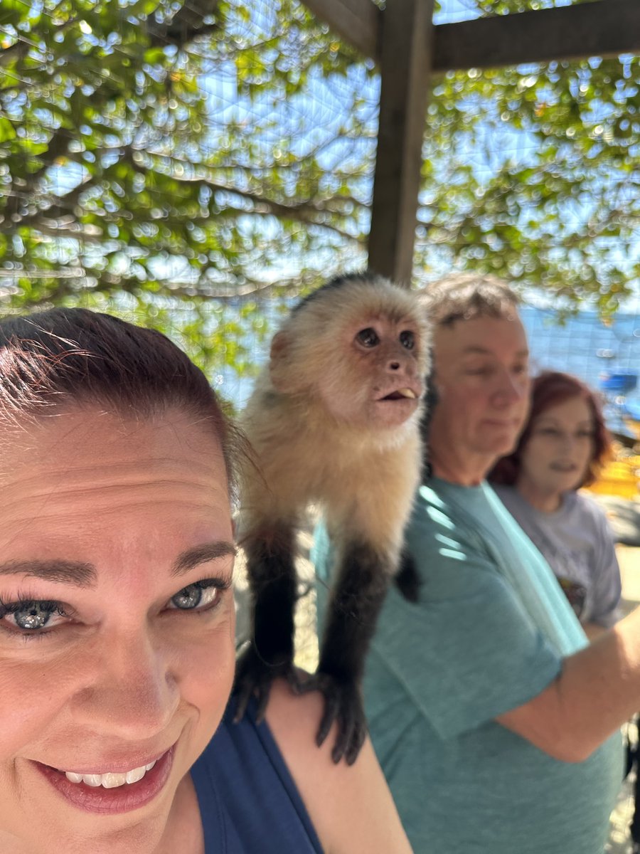 Stephanie Word tweet media