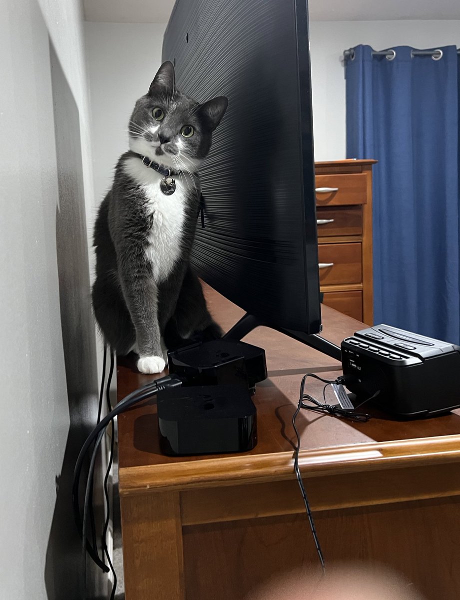 BurtyButt's tweet image. Hide and seek time