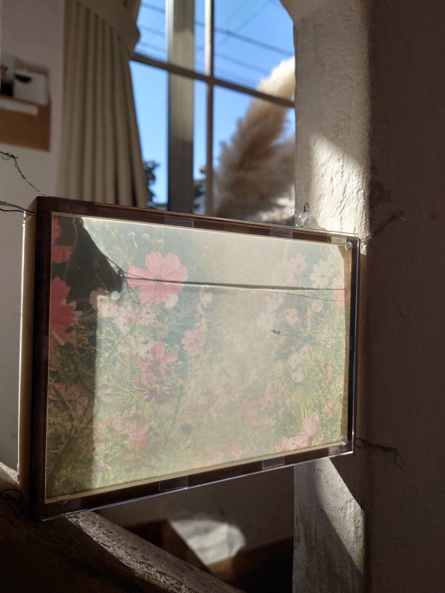 ギャラリーフィルモ tweet media