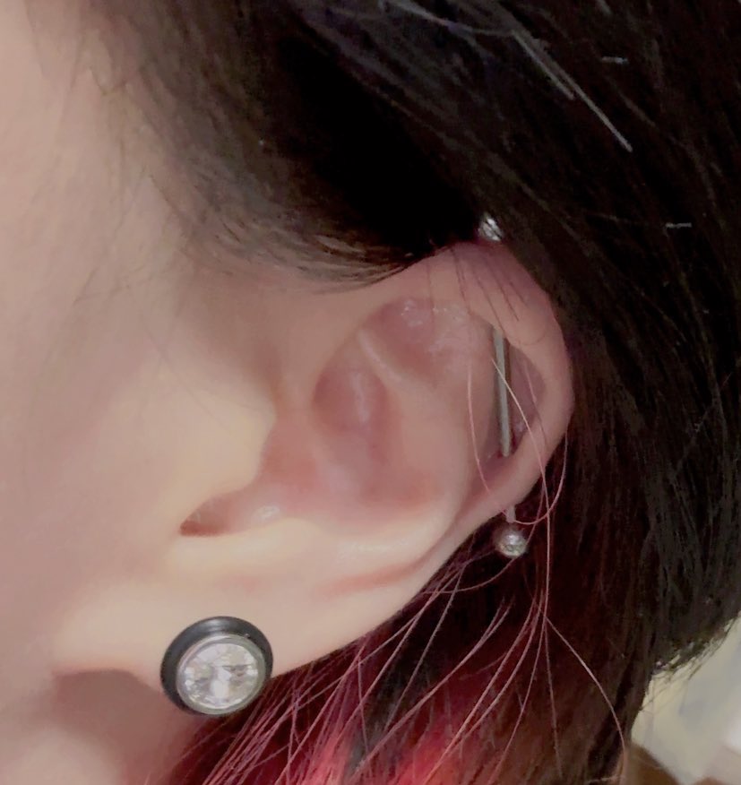 「※若干閲覧注意これは先月開けたインダス 同時に開けた耳たぶにはフェイクプラグピア」|☪ときちゃそ(回復中)のイラスト
