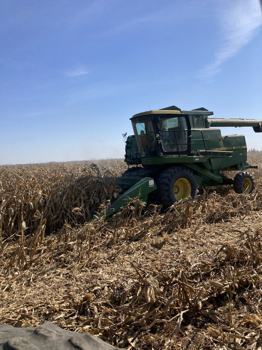 Thomas Lennox tweet media