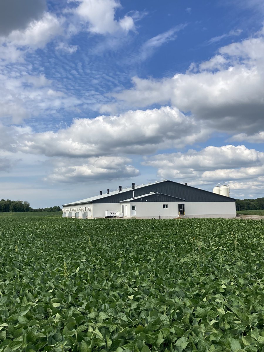 Thomas Lennox tweet media