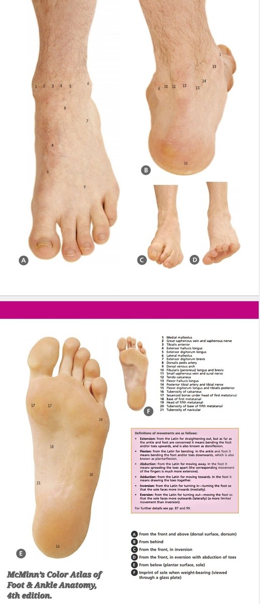 Dr.OMID BANDARCHI ,M.D. on Twitter for Tweet of surface