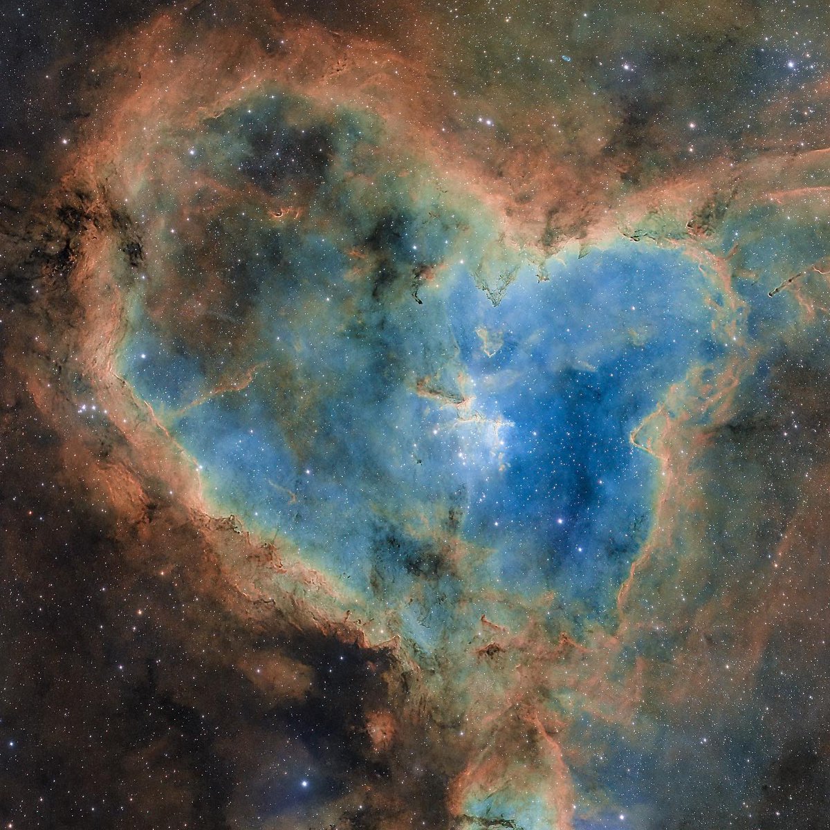 OPT - The Telescope Authority tweet media