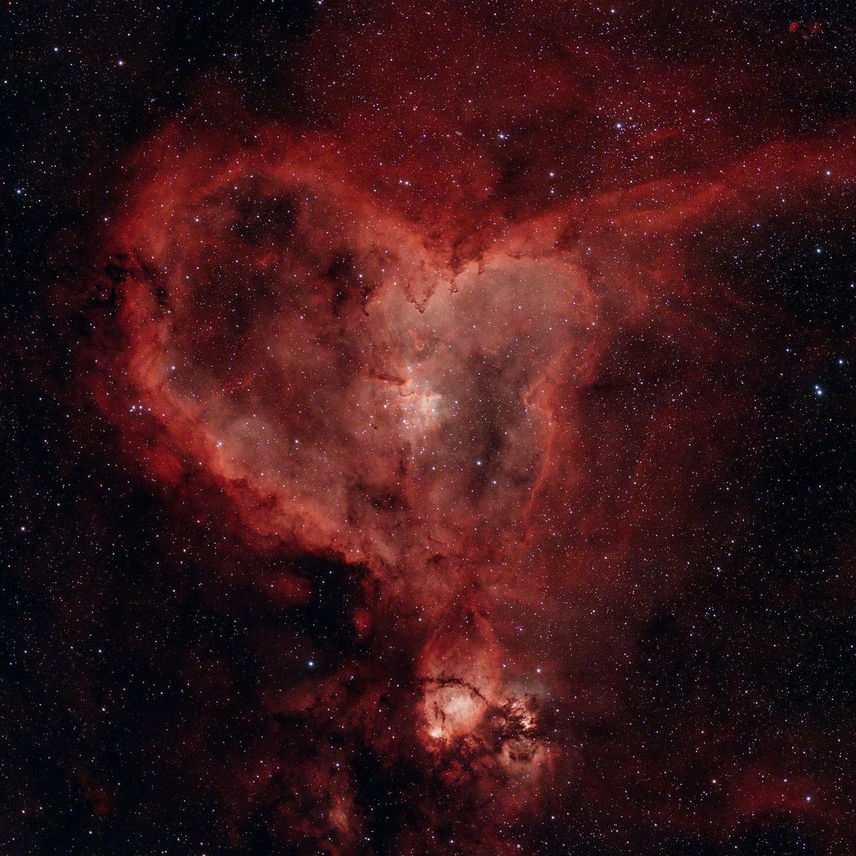 OPT - The Telescope Authority tweet media