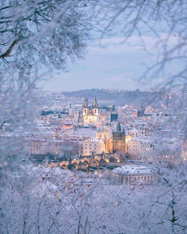 helena_mar19's tweet photo. Good Morning 
Have a Wonderful Day 

(Prague,Czech Republic,📷Pinterest) https://t.co/GBvq7LHSue