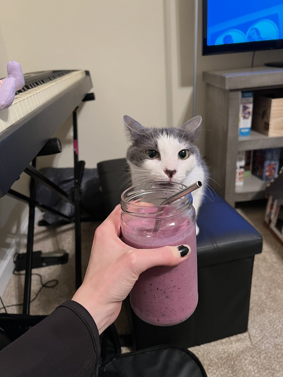 BearKoehler's tweet photo. The smoothie prince, smoothie king even https://t.co/UijycGm85n