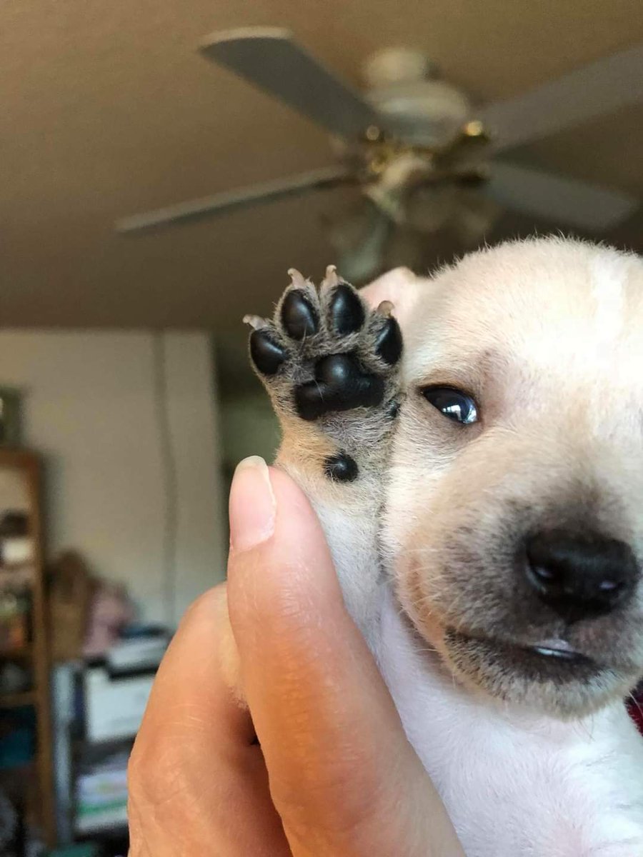 iti malias (@itimaliasof) on Twitter photo 