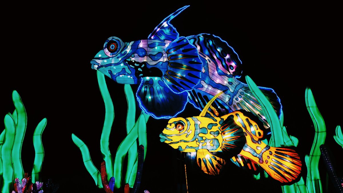 It's o-fish-ially one month until Member Preview Nights for Glow in the Park begin! Be the first to GLOW ➡️ Tickets for Member Nights (3/15 & 3/16) and the full event run (3/17 -4-30) are on sale now at LivingDesert.org/Glow #TheLivingDesert #GlowInThePark