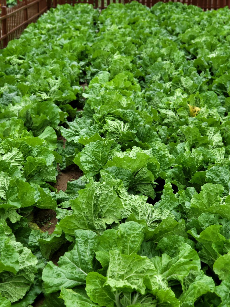 邯郸夫妻 tweet media