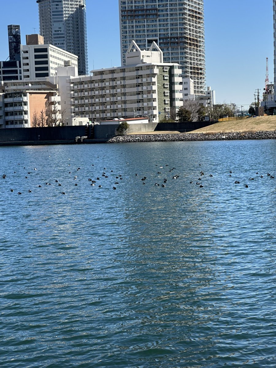 n0715_0823's tweet photo. ここで教えていただいた通り、風で寒いから、有明ガーデンの伊藤園さんで抹茶ラテ飲みたくて、避難💦笑
下見してきたけど、人っこ1人おらず😳😱
グッズのテントも無かったから、どこかも分からず😱
サブアリーナ？
どなたか教えてください🙏
#backstreet boys
#バックストリートボーイズ https://t.co/mm82b2UxcH
