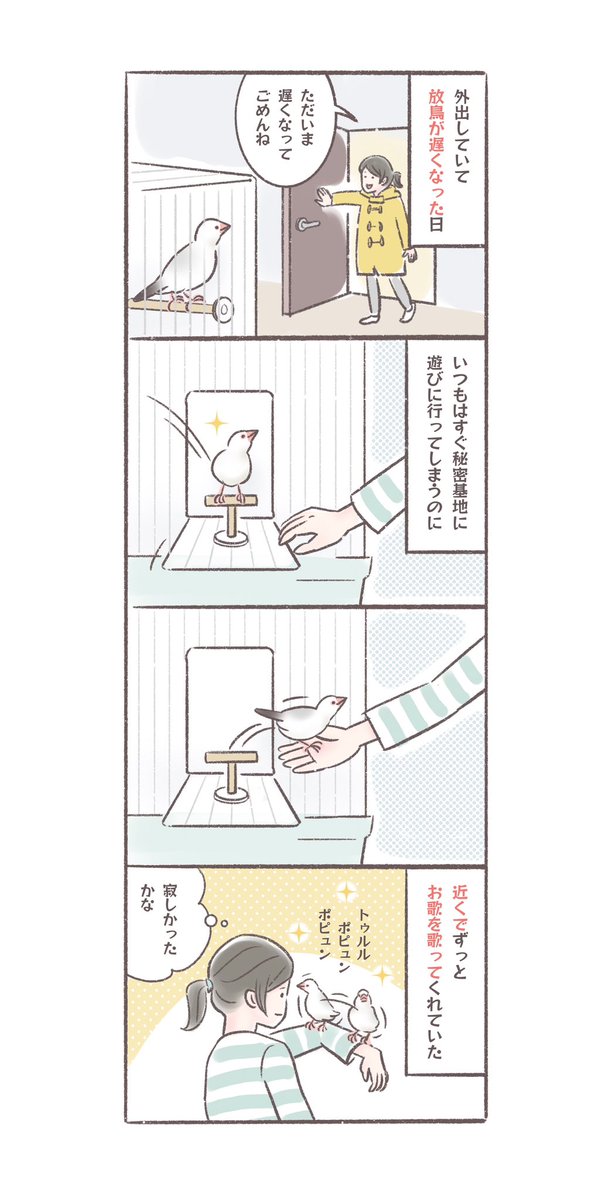 帰宅が遅くなり、ちょっと寂しい思いをさせてしまったらしい
#文鳥 
#4コマ漫画 
