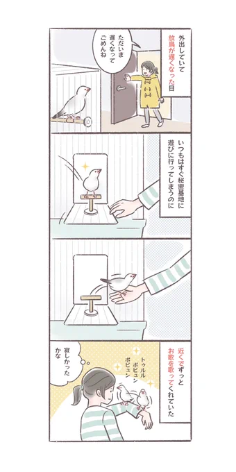 帰宅が遅くなり、ちょっと寂しい思いをさせてしまったらしい
#文鳥 
#4コマ漫画 