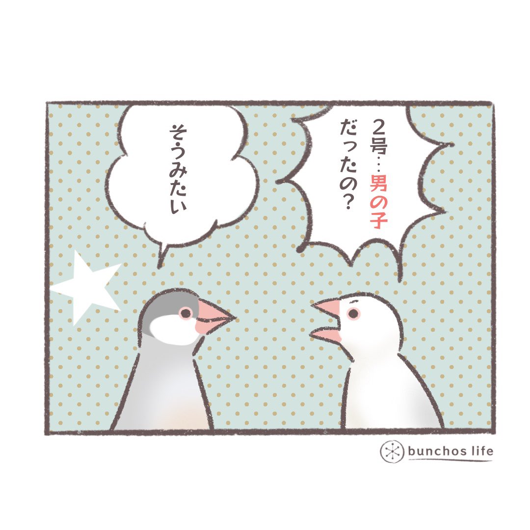 電子書籍「文鳥と書いてカワイイと読む⑤」がリリースされました!0円ですので是非ダウンロードしてみてくださいね✨
https://t.co/aW3xvhu9nF 