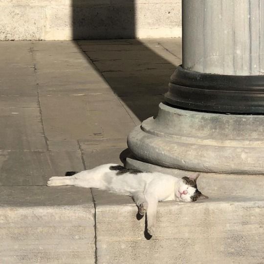 : อยากลาออกมานอน