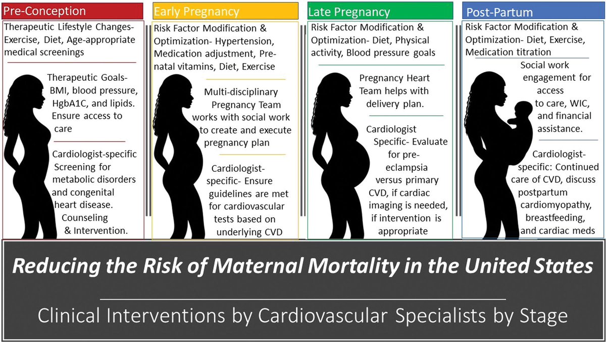 What Can Cardiologists Do to Reduce the High Risk of Maternal Mortality in the United States?

#CardioObstetrics 
<a href="/RupaSanghaniMD/">Rupa Sanghani</a> <a href="/avolgman/">AnnabelleVolgman MD</a> 
ahajournals.org/doi/10.1161/CI…