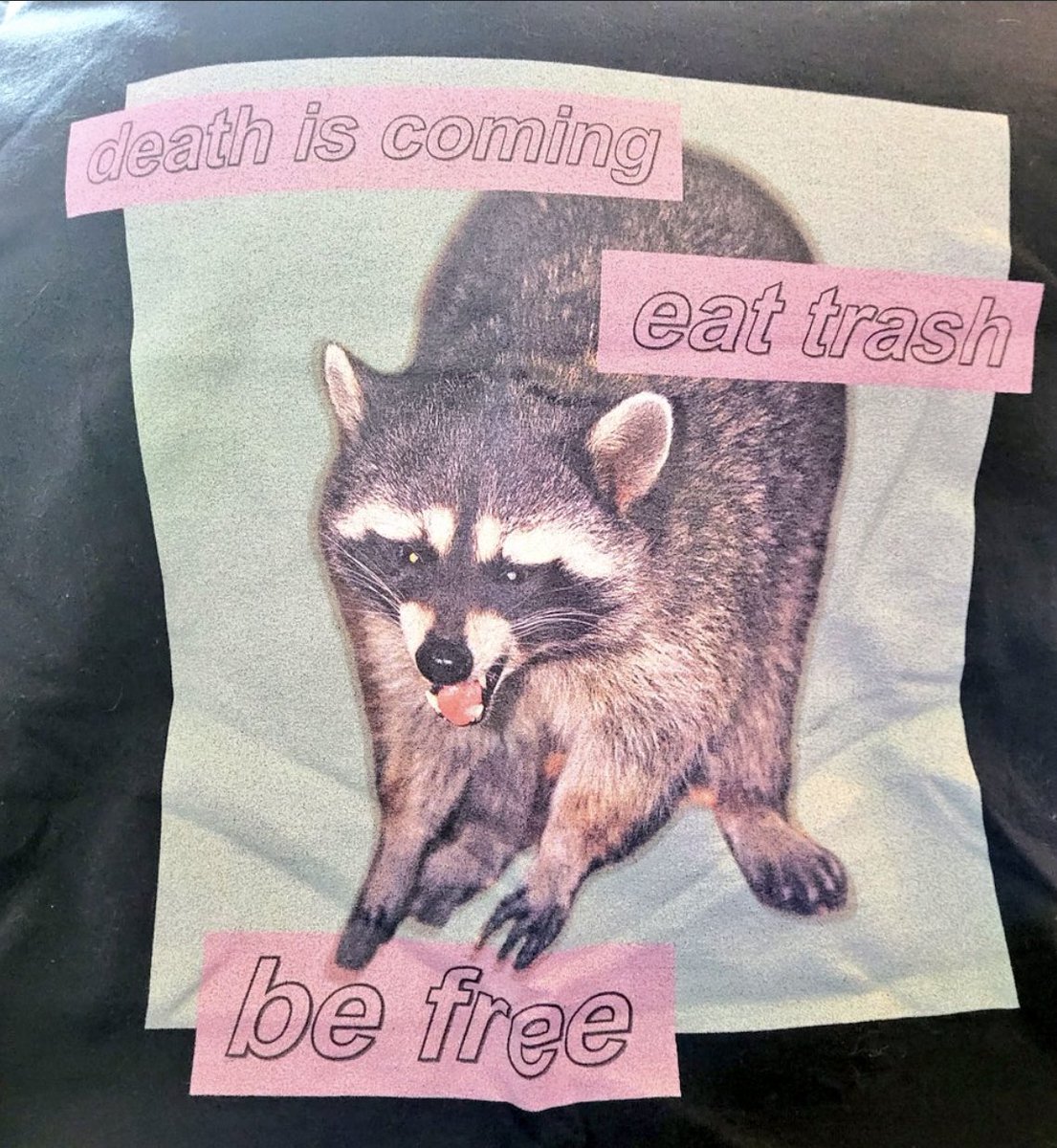 shirtsthtgohard's tweet photo. https://t.co/ox6PwbVmoM