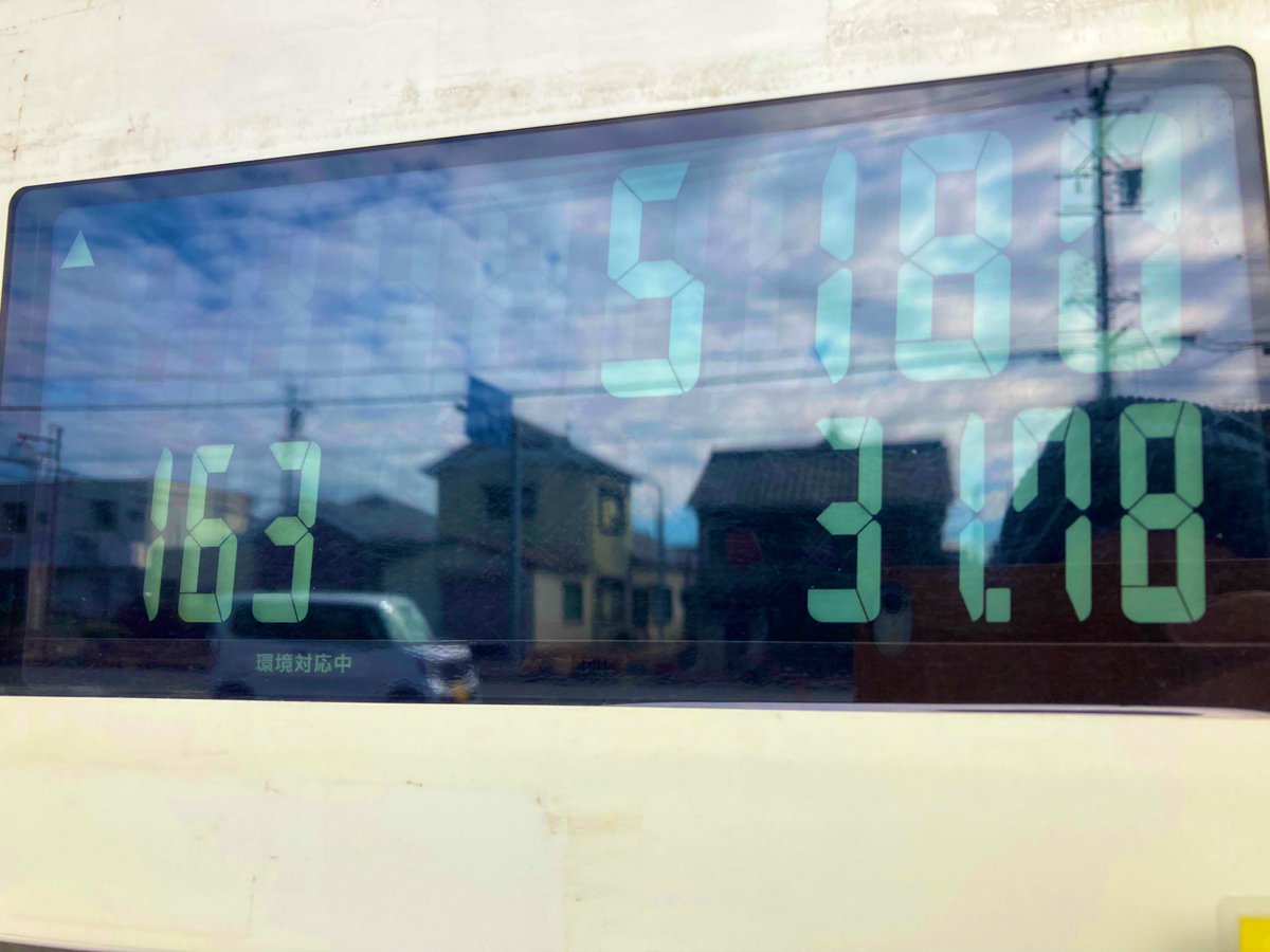 柴犬ちゃちゃ tweet media