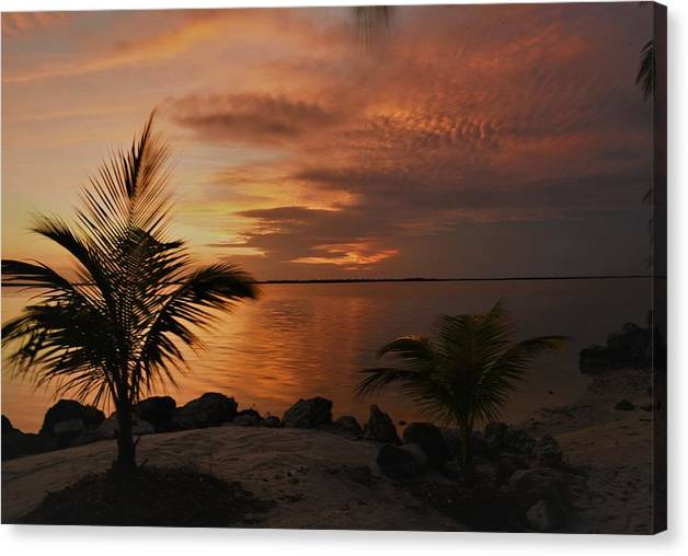 JosephWalmsley2's tweet photo. Sugarloaf Key Sunset Canvas Print

Available Here: https://t.co/swlx2bQCO0

#BuyIntoArt #AYearForArt #SpringForArt #photographylovers #sunsetphotography #sunset #sunsets #florida https://t.co/mPtPNwku8F
