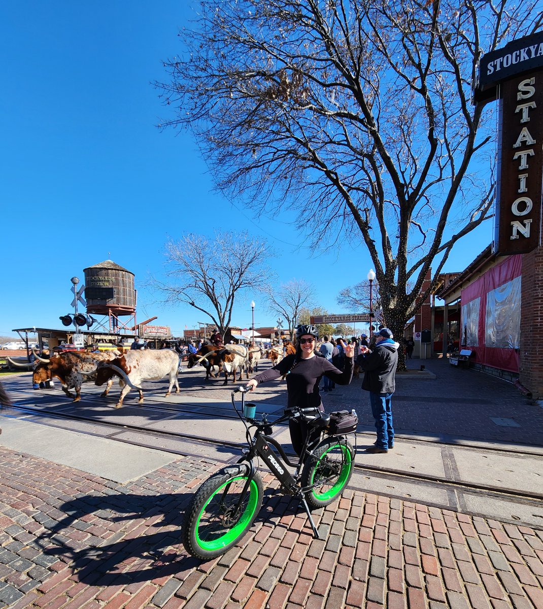 See the live cattle drive on our Bike & BBQ Guided ebike tour!

#visitfortworth  #fortworthstockyards #hellofun  #wherethewestbegins