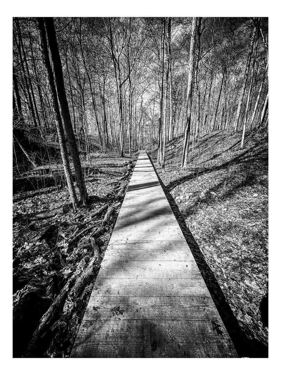 Josh Williams Photography (@seamonkeysammy) on Twitter photo 