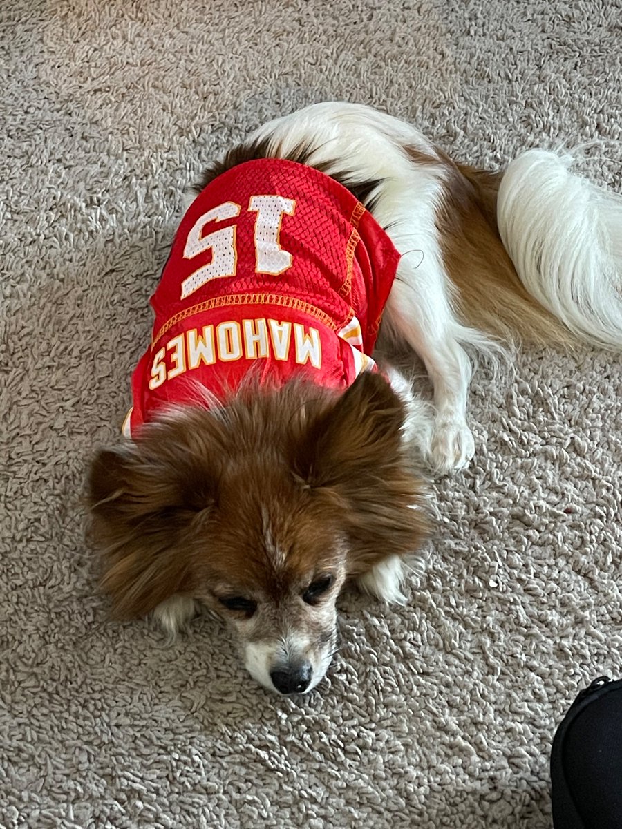 reversepunch's tweet photo. @GrunauerKC Gotta have a world class quarter-bark to win Championships. https://t.co/otWF0xdS96