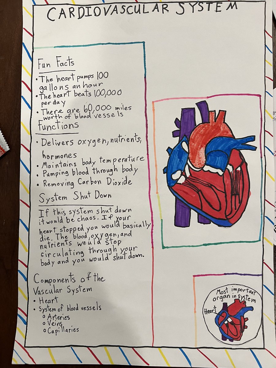 My sons 6th science project describes cardiogenic shock - love it!! 🍎 🌲 #NCSI #cardiogenicshock #systemshutdown