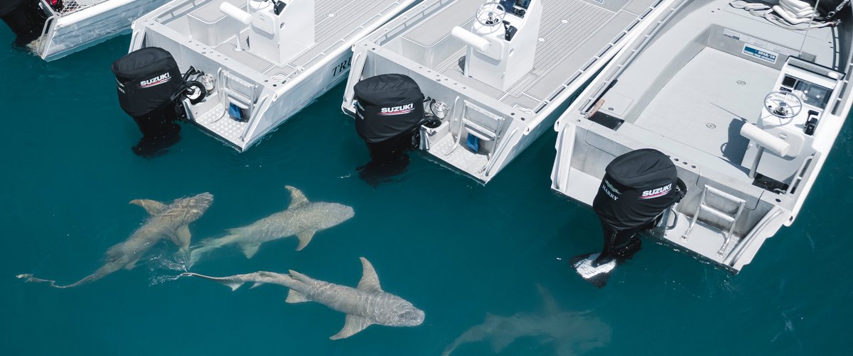 On the TRUE NORTH wildlife encounters are part of every day of every itinerary.