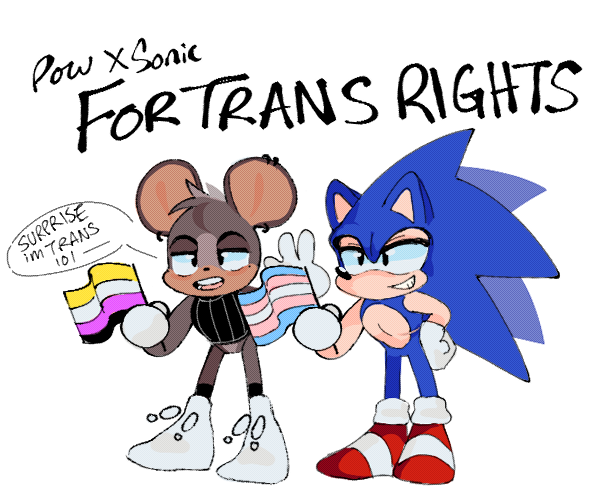 Why do so many people insist Sonic is trans? As a trans person