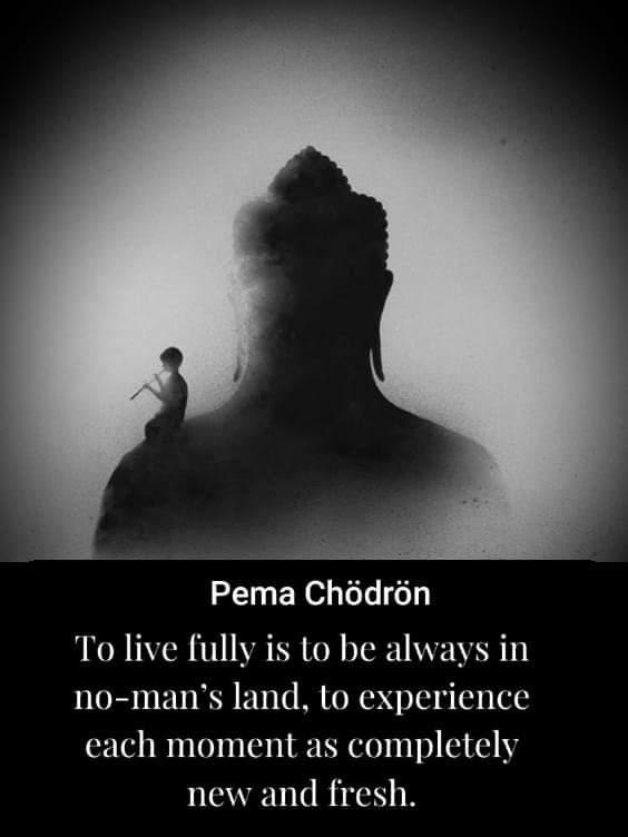 sanjabh's tweet photo. A fully absent mind is behind presence of  complete awareness ... https://t.co/R4YRLmRJA2