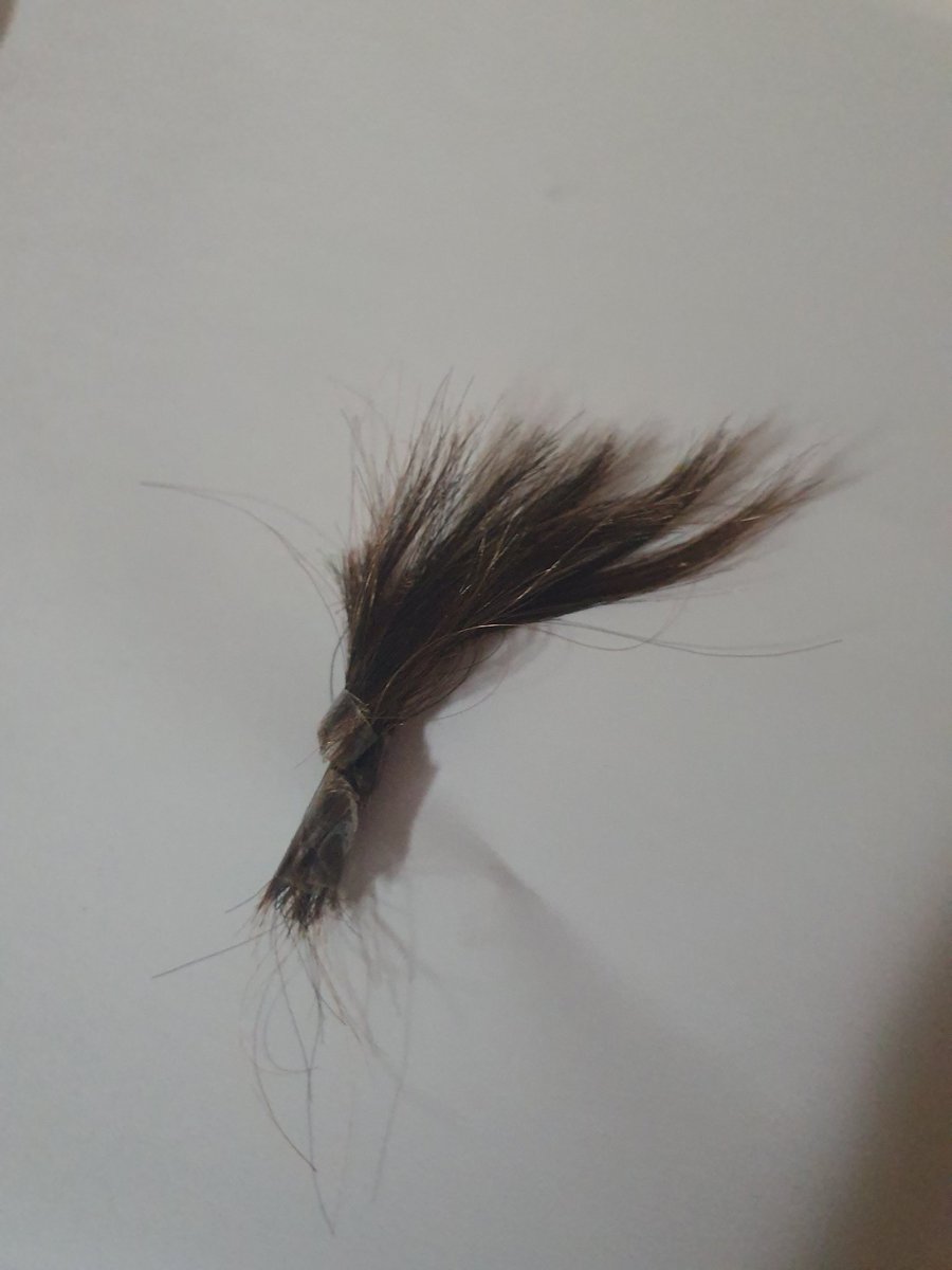 Valesita59_'s tweet photo. #Chango6c vendo cabello del xocas https://t.co/64n3LhnioA