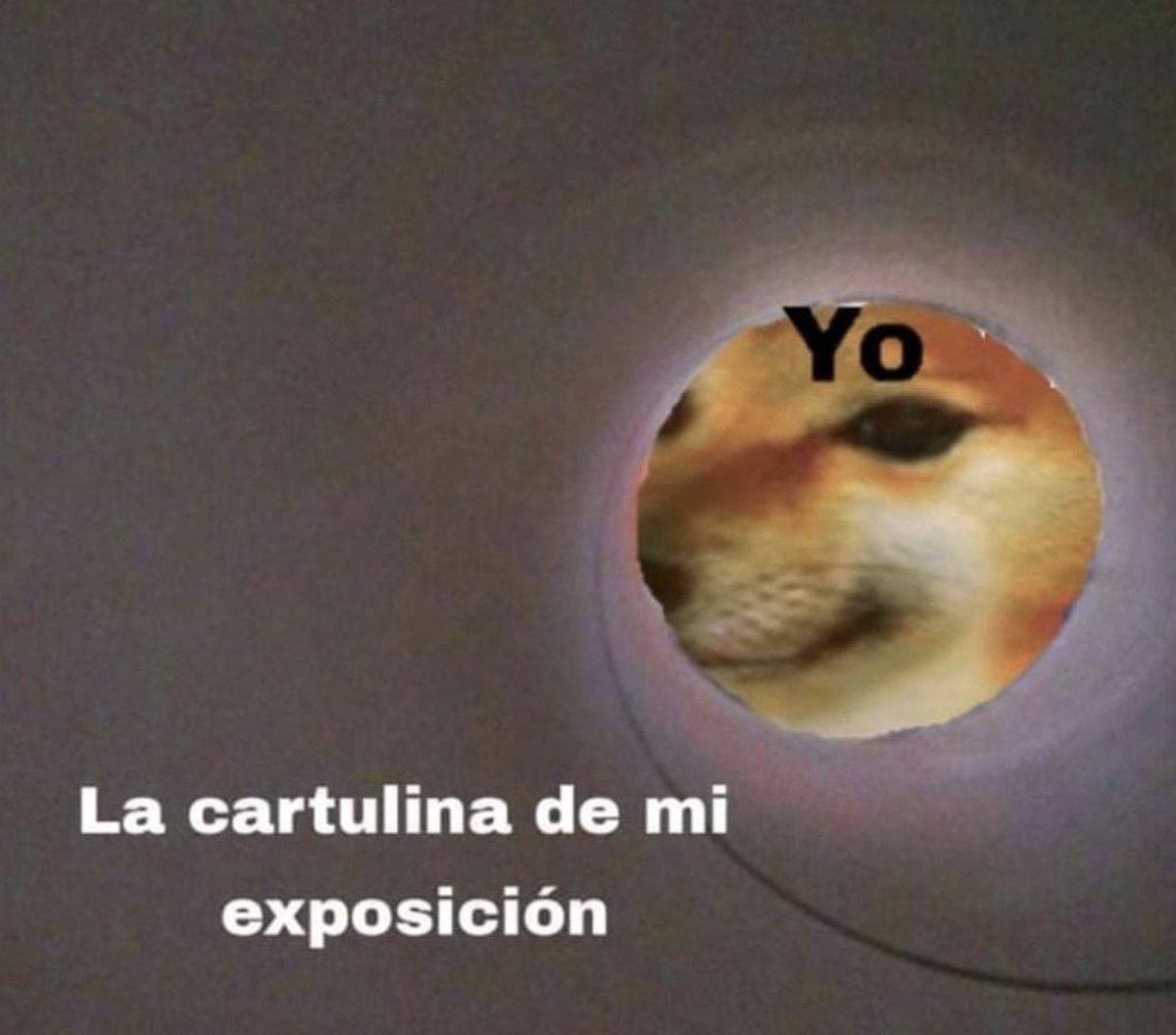 👀
👉🏽👈🏽