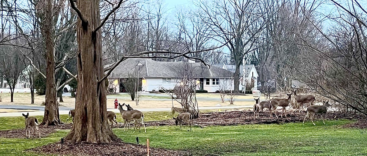 Tim Allen tweet media