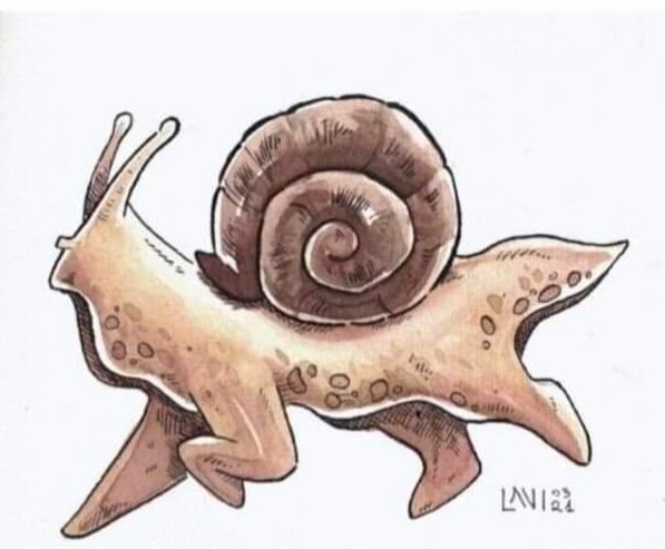 TuiterosOk's tweet photo. Si los caracoles tuviesen patitas 🐌🤗 https://t.co/bs2bMnZ8ne