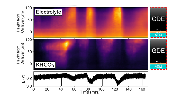 Scientists decipher the mechanism of a device that converts #CO2  into useful chemicals and fuels thanks to the ESRF's X-rays. 
#electrolysis #energy 
Published in <a href="/Joule_CP/">Joule</a> 

▶️bit.ly/3KbAWUk

<a href="/DTUtweet/">DTU</a> 
<a href="/SoM_esrf/">StructureOfMaterials</a> 
<a href="/QuantumCat_/">Quantum Cat</a>