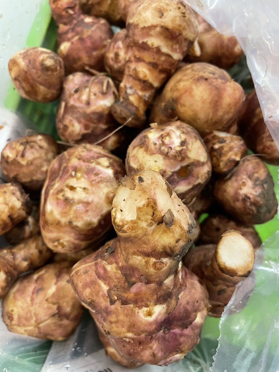 nickofthyme6's tweet photo. I’ve just taken delivery of these little beauties #jerusalemartichoke #artichokes #alcachofasdeJerusalem #alcahofas #carciofi @wellocksfood #wellocks #artichauts https://t.co/fjogKPRgVw