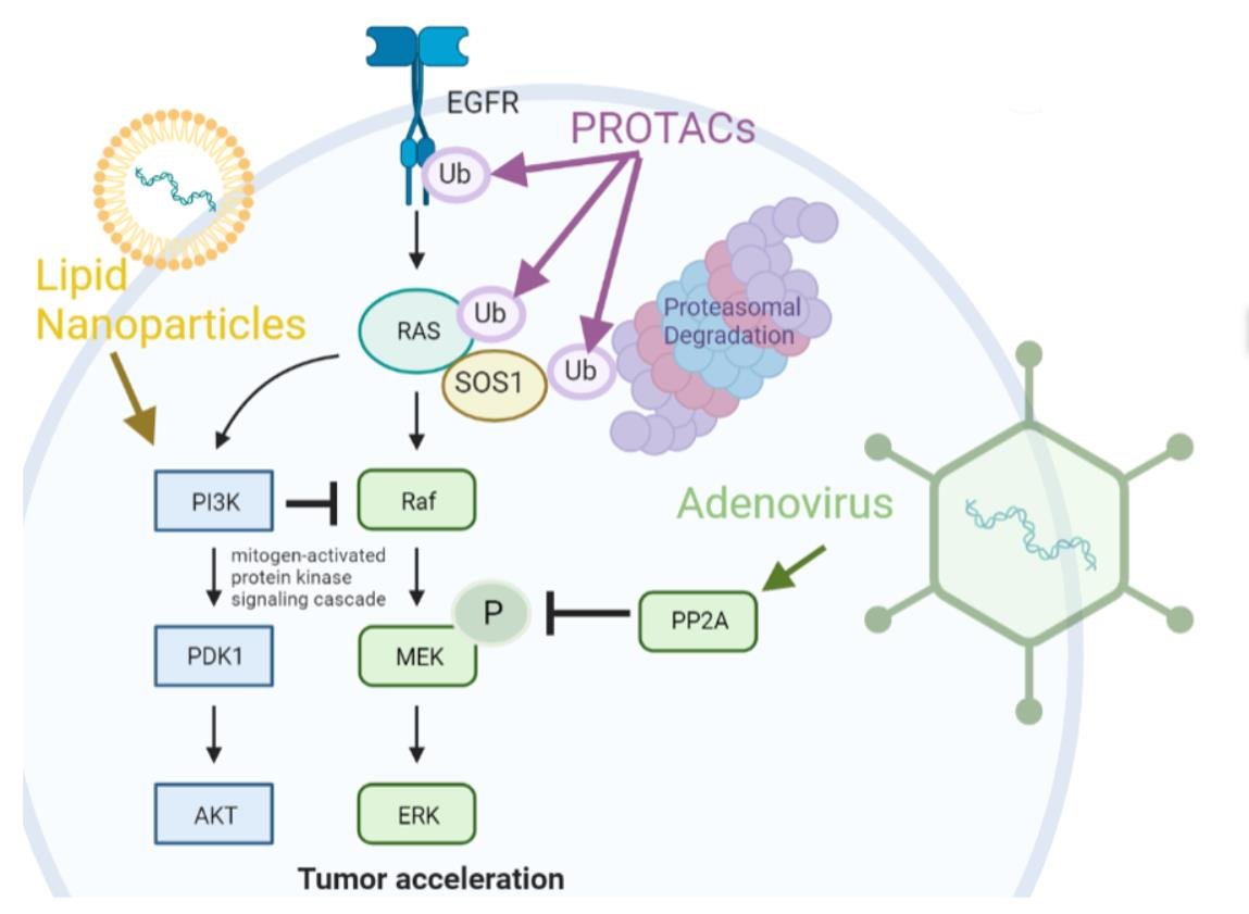 Pharmaceutics MDPI tweet media