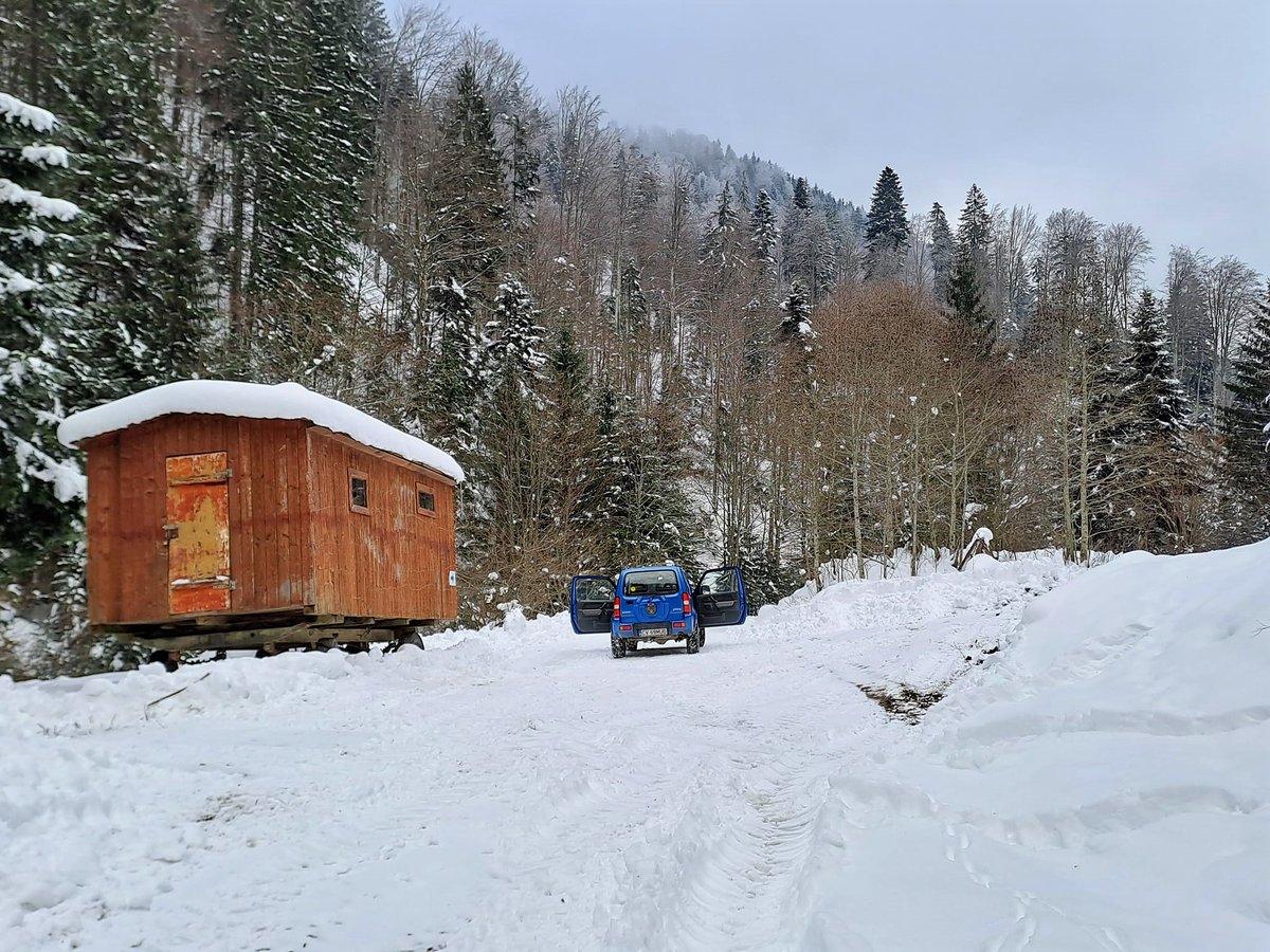 RNP_Romsilva's tweet photo. Pădurea e frumoasă în orice anotimp-ne arată colegul nostru, Muguraș Papuc, de la Ocolul Silvic Covasna, o mică parte din activitatea unui pădurar și rezultatele grijii sale pentru pădure.
#forester #forest #forestry #silviculture #carefortrees #Romania #SFM https://t.co/Z9aOz1KYKD
