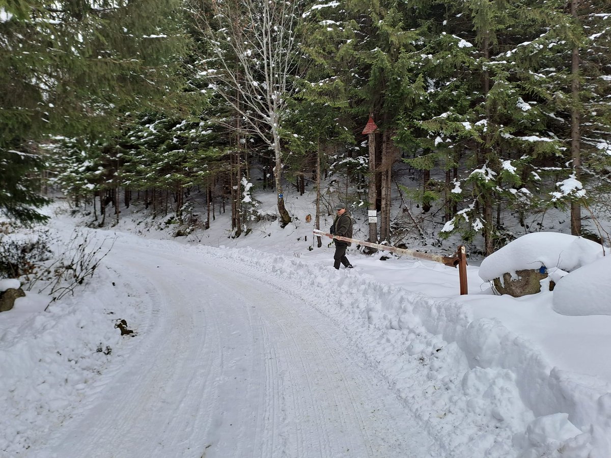 RNP_Romsilva's tweet photo. Pădurea e frumoasă în orice anotimp-ne arată colegul nostru, Muguraș Papuc, de la Ocolul Silvic Covasna, o mică parte din activitatea unui pădurar și rezultatele grijii sale pentru pădure.
#forester #forest #forestry #silviculture #carefortrees #Romania #SFM https://t.co/Z9aOz1KYKD