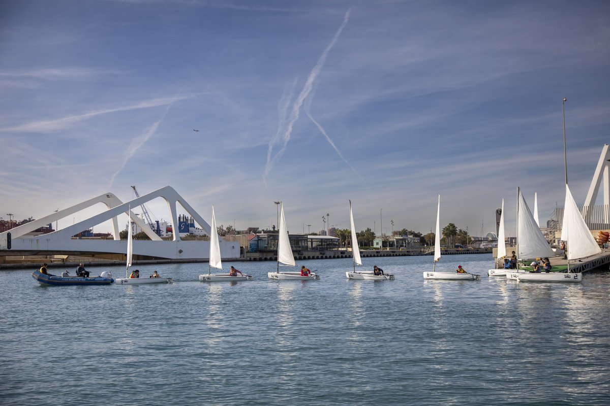 La Marina de València tweet media