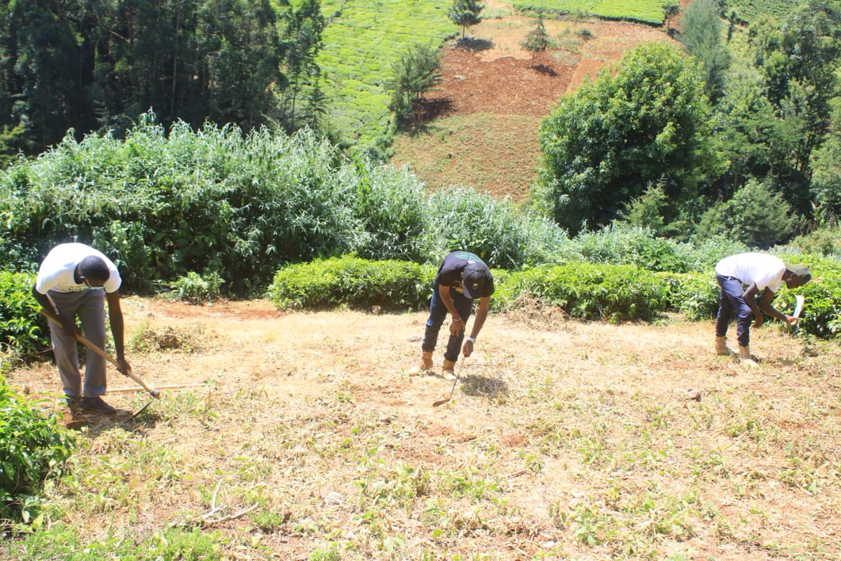 AmControo's tweet photo. Planting trees  is one of the best ways to help our environment rebuild itself.
More trees will absorb more carbon dioxide, thus slowing down climate change

#Trees4Heroes
@evakimathi @dedankm https://t.co/gl54AJF9eP