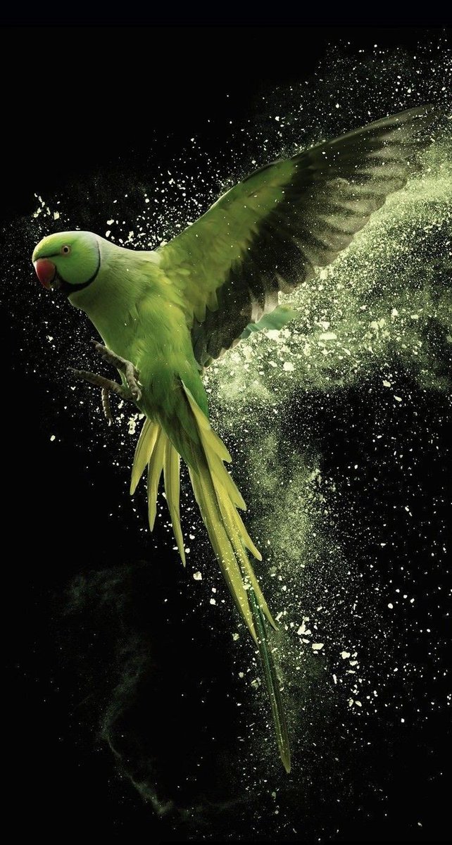 MistletoeSprite's tweet image. Good morning, cupcake 💋  as if I'd ever be so rude...😜😇 Now move your bahookie (as my Scottish grandmother used to say) - the economy is depending on you. Love &amp;amp; hugs right back at you💋

#threethingsthursday