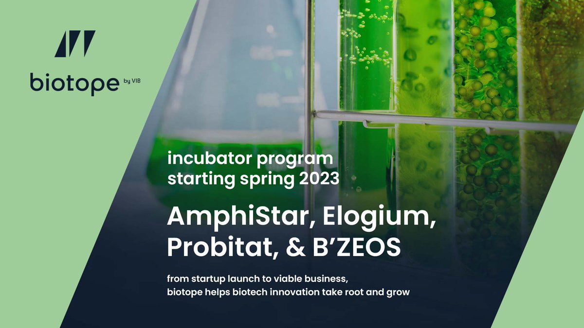 Congratulations to our new #incubator #startup teams: AmphiStar, Elogium, Probitat, and B'ZEOS! From seaweed plastics to microbial solutions for food, feed, and biosurfactants – we'll help them take their #biotech #innovation to the next level! @VIBLifeSciences