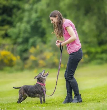 WeAcceptPets's tweet photo. ๐ฌ "Kirsty is lovely, my pup learned so much from her puppy classes although he was a wild one out of all the puppy's, she helped me to calm him down."
https://t.co/chbjk3emj2
#Bournemouth #Dorset #Review #PetTraining #PuppyClasses #Poole #Christchurch #Recall @KirstysPaws https://t.co/pNSOaYeV32