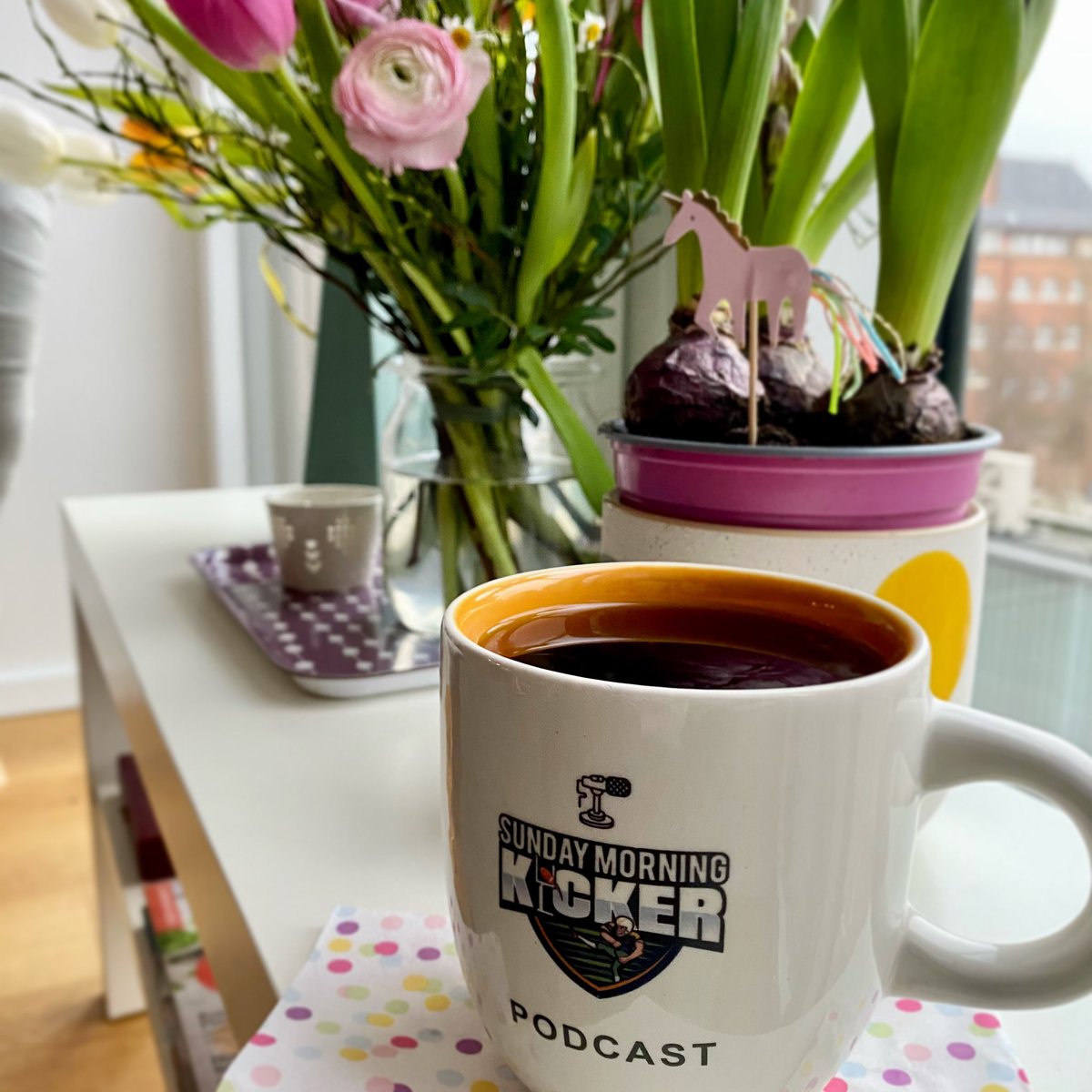 Dank der Spendenaktion „Kicking for Squirrels“ sind 211,5€ für die 🐿️-Schutzstation in Eckernförde zusammengekommen. Danke an alle Spender*innen und an <a href="/sundaykicker/">Sunday Morning Kicker Podcast</a> der das mit seinem Podcast ermöglicht hat. (Wenn euch die Tasse gefällt, ein paar Farben sind noch da! ☕️)