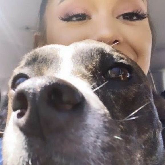 ariana with dogs 🫶🏻