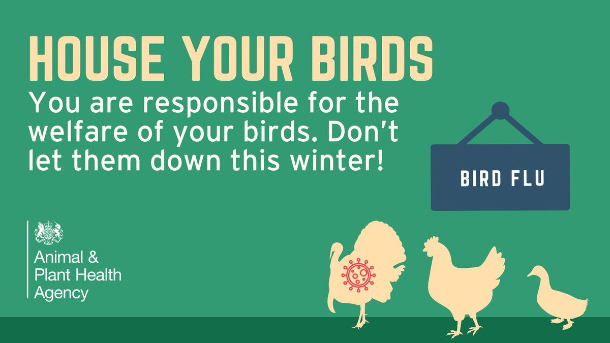 FoDDC's tweet photo. We are currently experiencing the biggest avian influenza outbreak we’ve ever had across the United Kingdom. 

Spotted a dead wild bird? Report it online or by calling call Defra on 03459 335577.  

Find out more 👉 https://t.co/vUVmX05CTg https://t.co/N7FJtoRBnJ