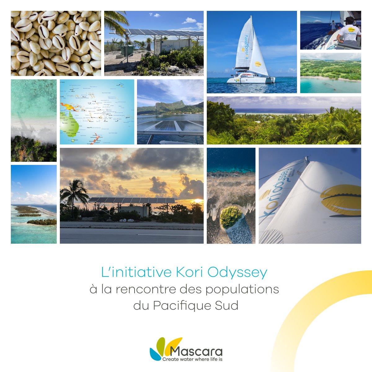 OSMOSUN® tweet media