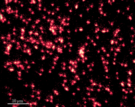 lkb_lab's tweet photo. First #quantum gas microscope in France! 👀
👏 Congrats to Tarik Yefsah’s team for succeeding in imaging a lithium-6 cloud with single atom resolution.
@CNRS @INP_CNRS @Physique_ENS @ENS_ULM @ScienceSorbonne @Sorbonne_Univ_ @Cdf1530 @AgenceRecherche #QuanTIP https://t.co/0rQlbVGeVe